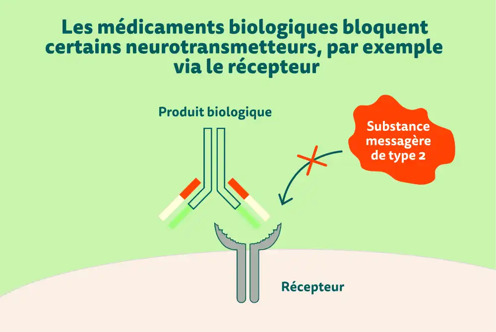 Les médicaments biologiques bloquent certains neurotransmetteurs, par exemple via le récepteur
